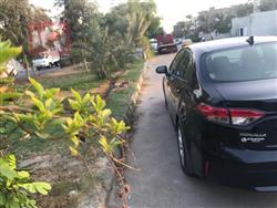 تۆیۆتا کۆرۆلا